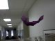 Walkalong Glider - You Can Make A Paper Airplane To Fly For Ever!