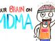 The Human Brain Under the Influence of MDMA