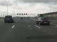 Pigeon Soars at 100km/h Between Cars on a Dutch Highway