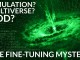 Universe's Perfection: Unraveling the Enigma of Fundamental Constants