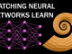 Learning in Neural Networks, Visualized