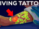 The Immune System's Role for Getting a Tattoo