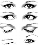 Awesome Info You Can discover from the Language of the Eyes!