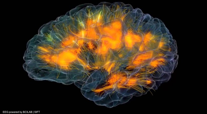 A Mesmerizing 3D Visualization of Brain Power and Connectivity