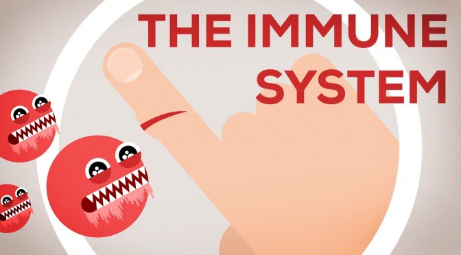 This Is Why You Are Still Alive – The Immune System Explained