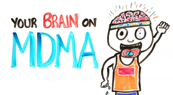 The Human Brain Under the Influence of MDMA