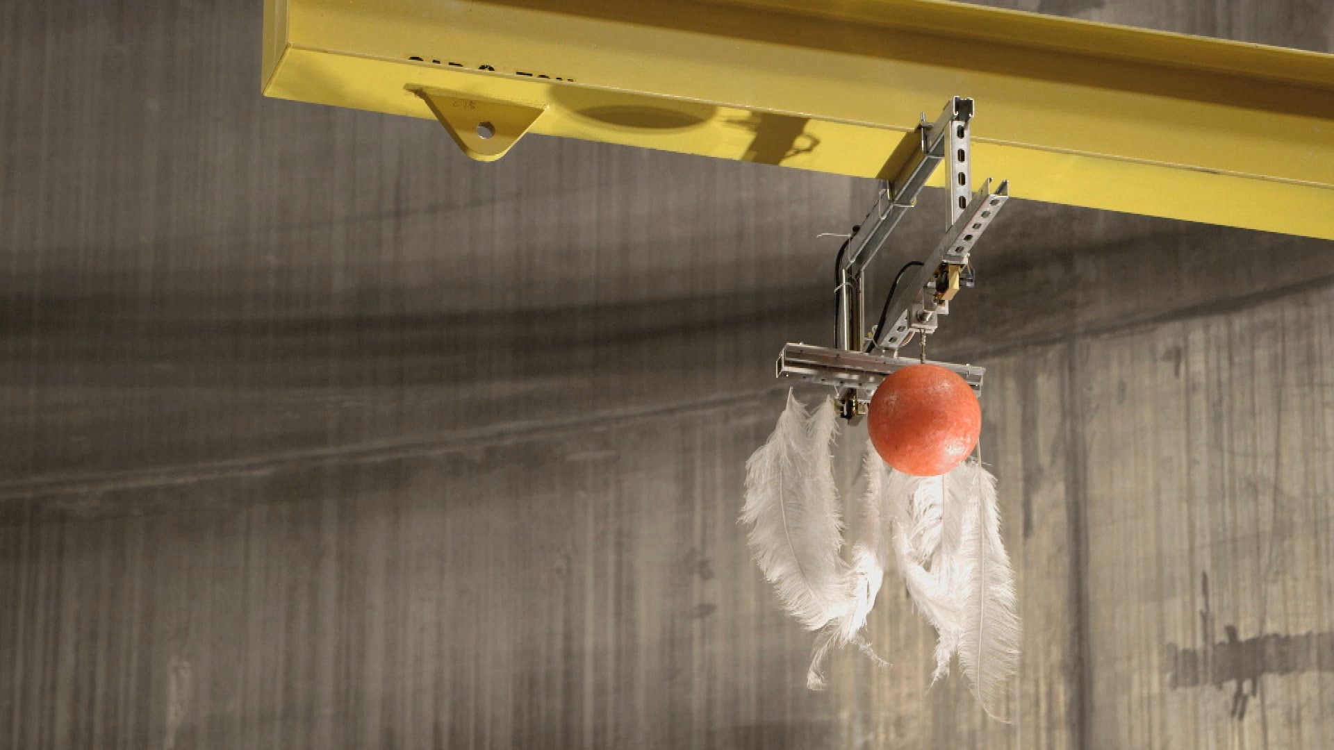 Falling Bowling Ball and Feather Experiment in a Vacuum
