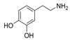 Dopamine molecule