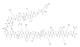 Endorphin molecules