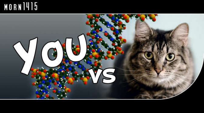 A Visual Journey Comparing Human DNA to Animal and Plant Genomes