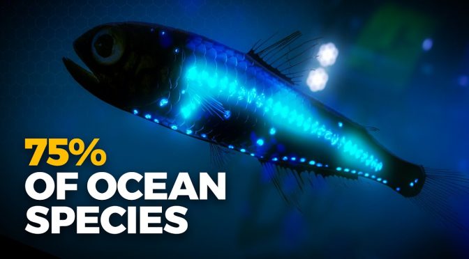 The Enigma of Bioluminescence: A Glimpse into the Ocean’s Glowing Life