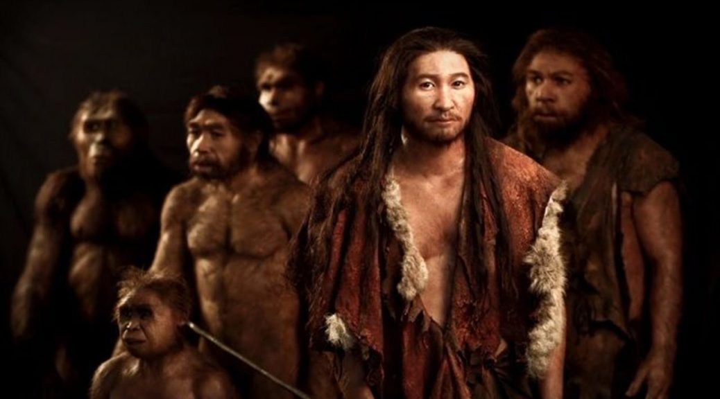 Unraveling the Mysteries of Human Evolution: Tracing Back Our Ancestral ...