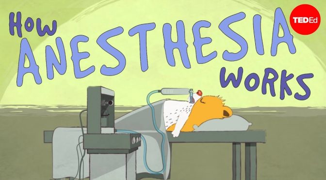 The Complex World of Anesthesia Explained