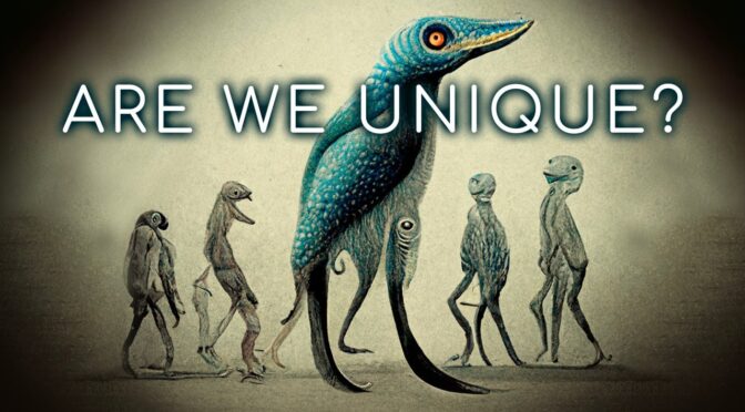 The Plausibility of Alien Life Forms Based on Convergent Evolution