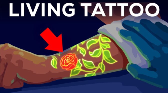 The Immune System’s Role for Getting a Tattoo